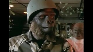 زميل اللعب من القرود